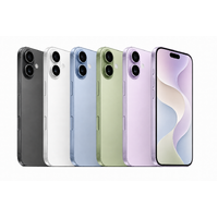 Apple iPhone 17 (Refurbished)